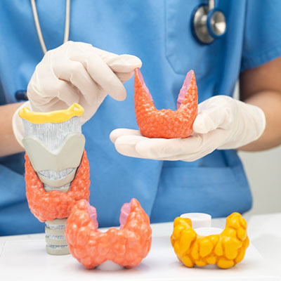 Thyroid specialist in Vijayawada